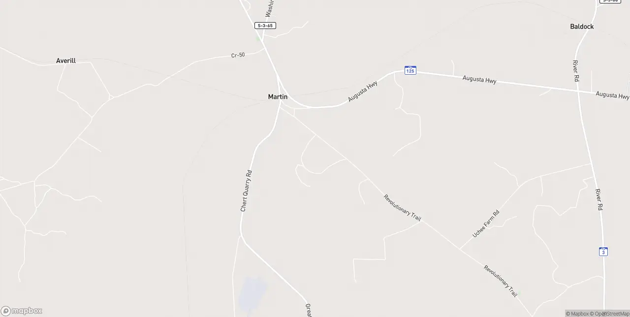 Internet in Martin