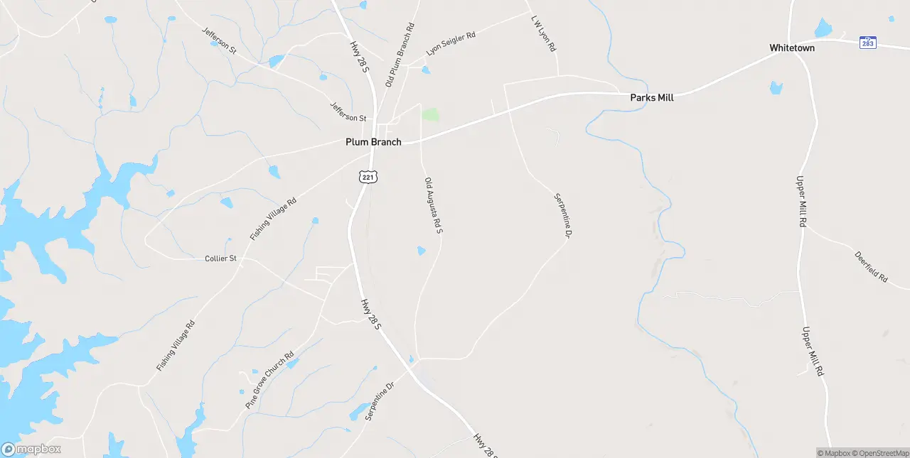 Internet in Plum Branch