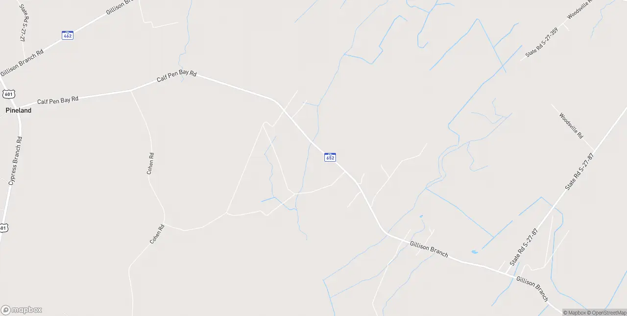 Internet in Pineland