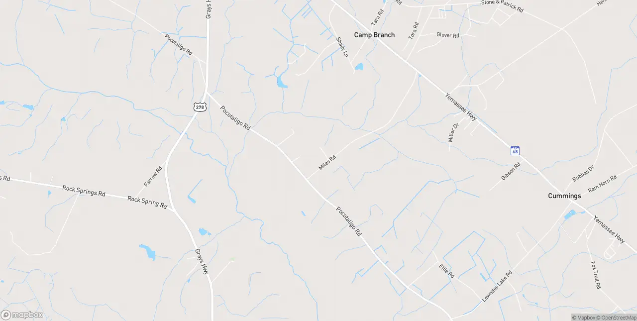 Internet in Varnville