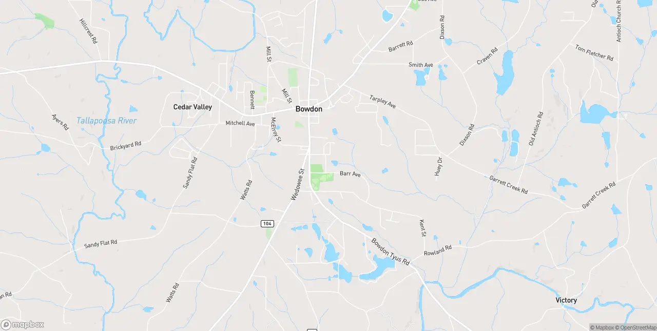 Internet in Bowdon