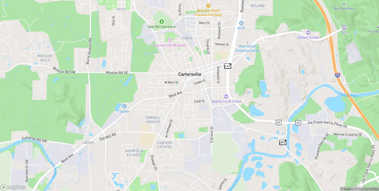 Internet in Cartersville