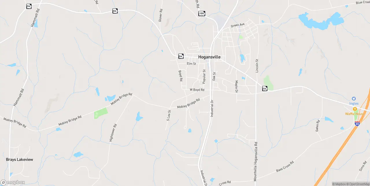 Internet in Hogansville