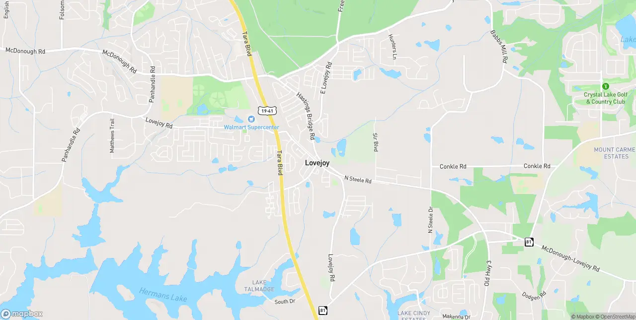 Internet in Lovejoy