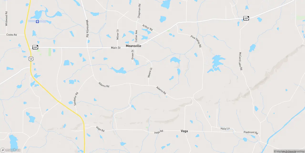 Internet in Meansville