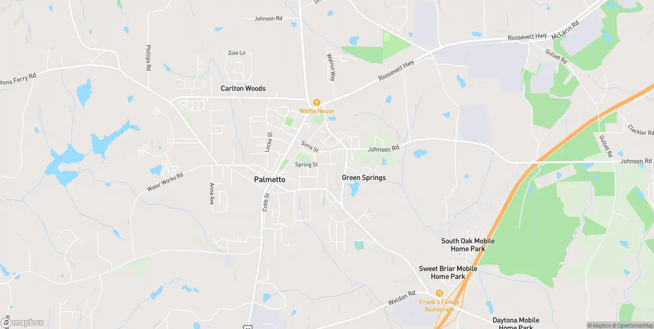 Internet in Palmetto