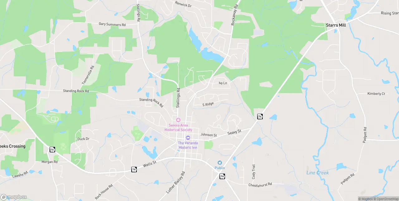 Internet in Senoia
