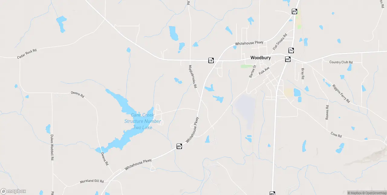 Internet in Woodbury