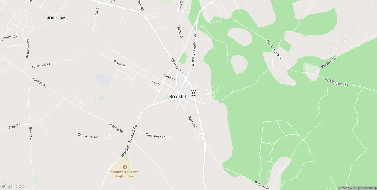 Internet in Brooklet