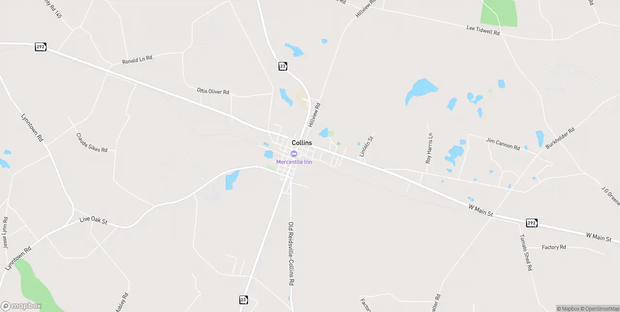 Internet in Collins