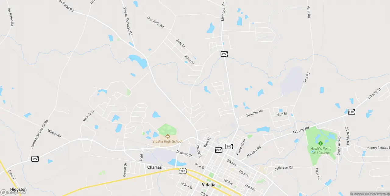 Internet in Vidalia