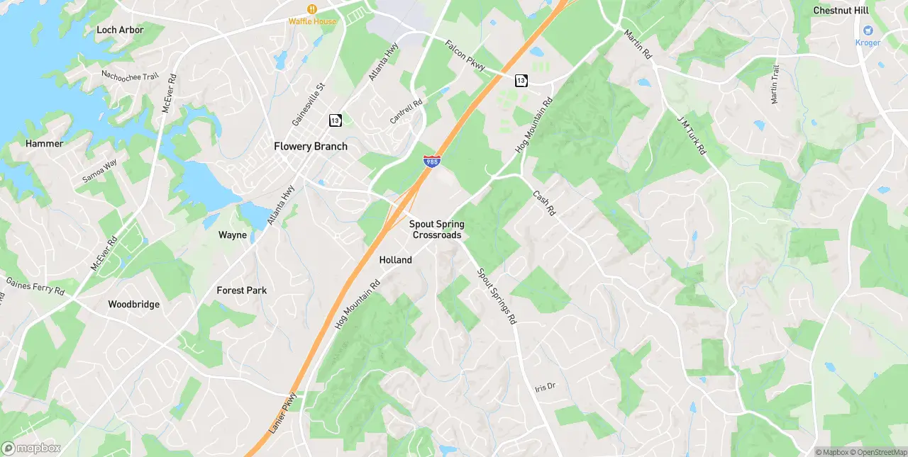Internet in Chestnut Mountain