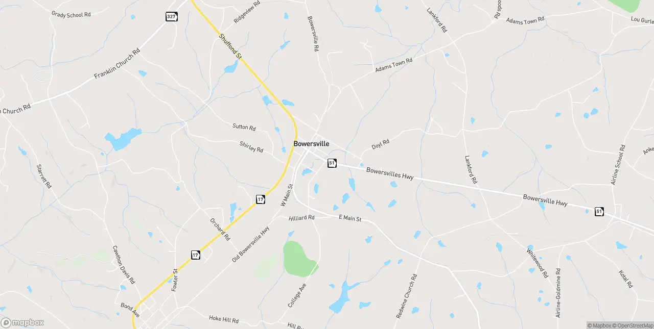 Internet in Bowersville