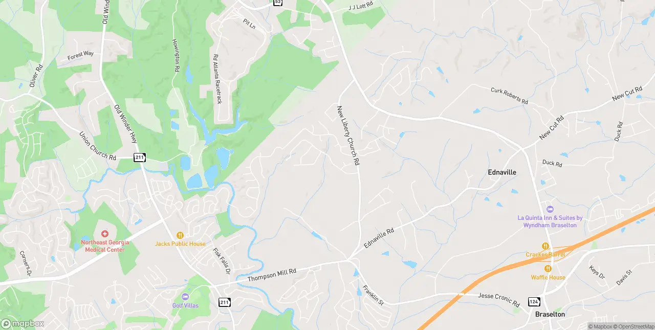 Internet in Braselton