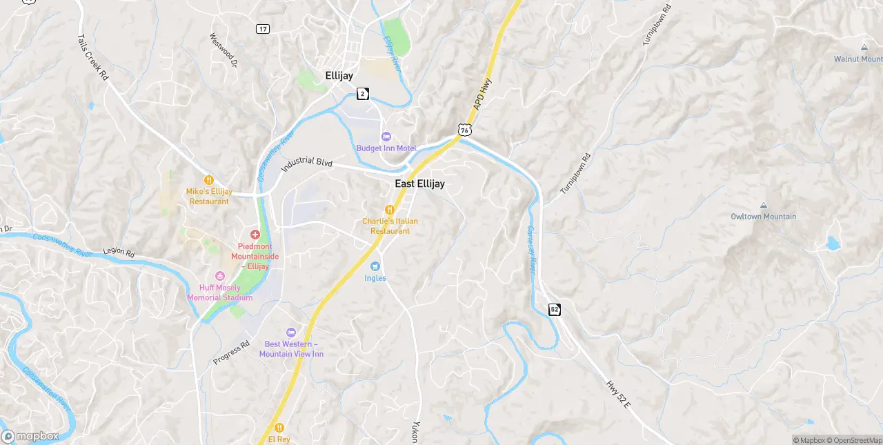 Internet in East Ellijay