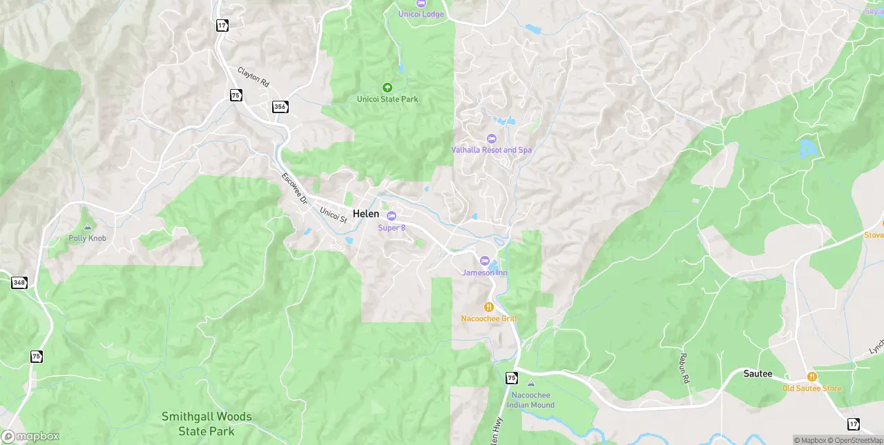 Internet in Helen