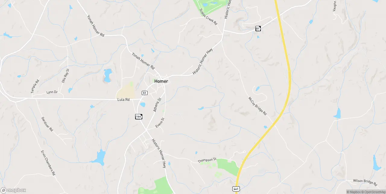 Internet in Homer