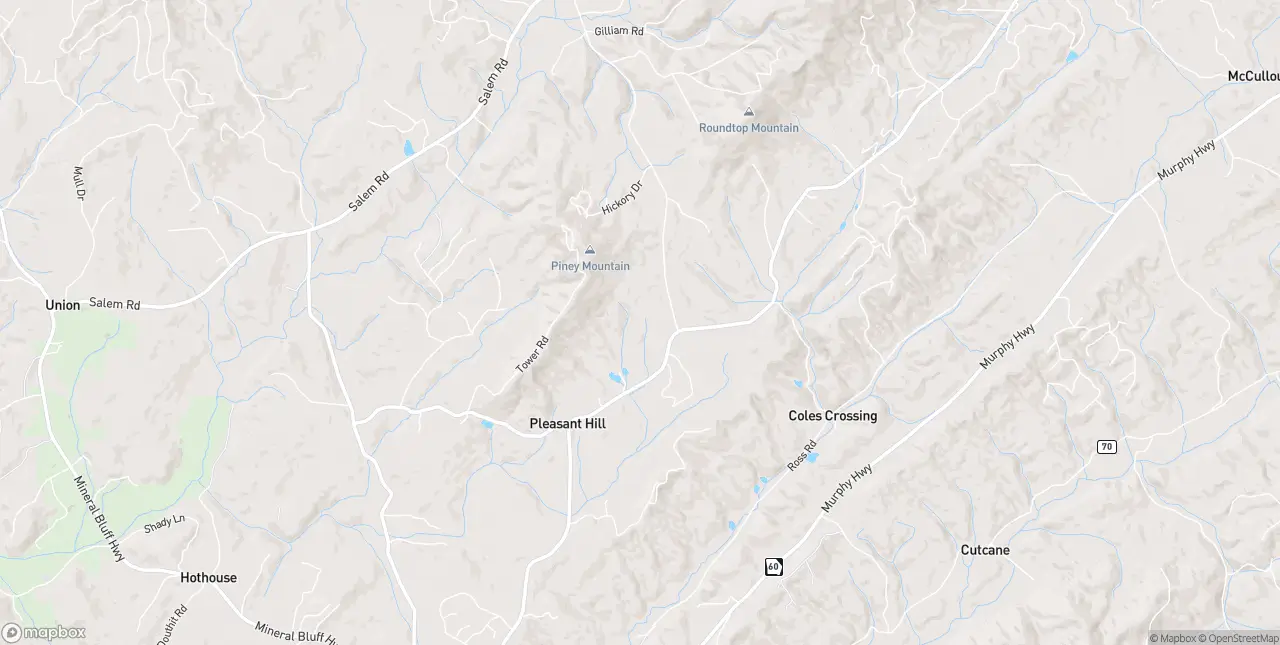 Internet in Mineral Bluff
