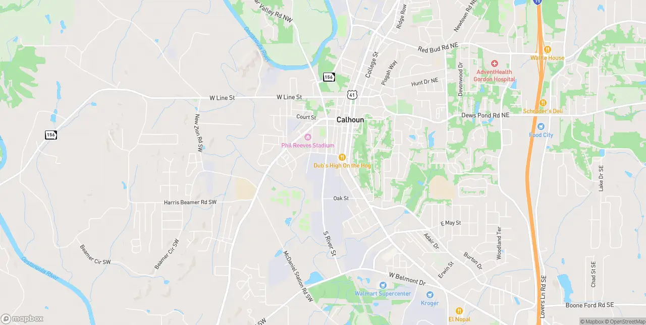 Internet in Calhoun