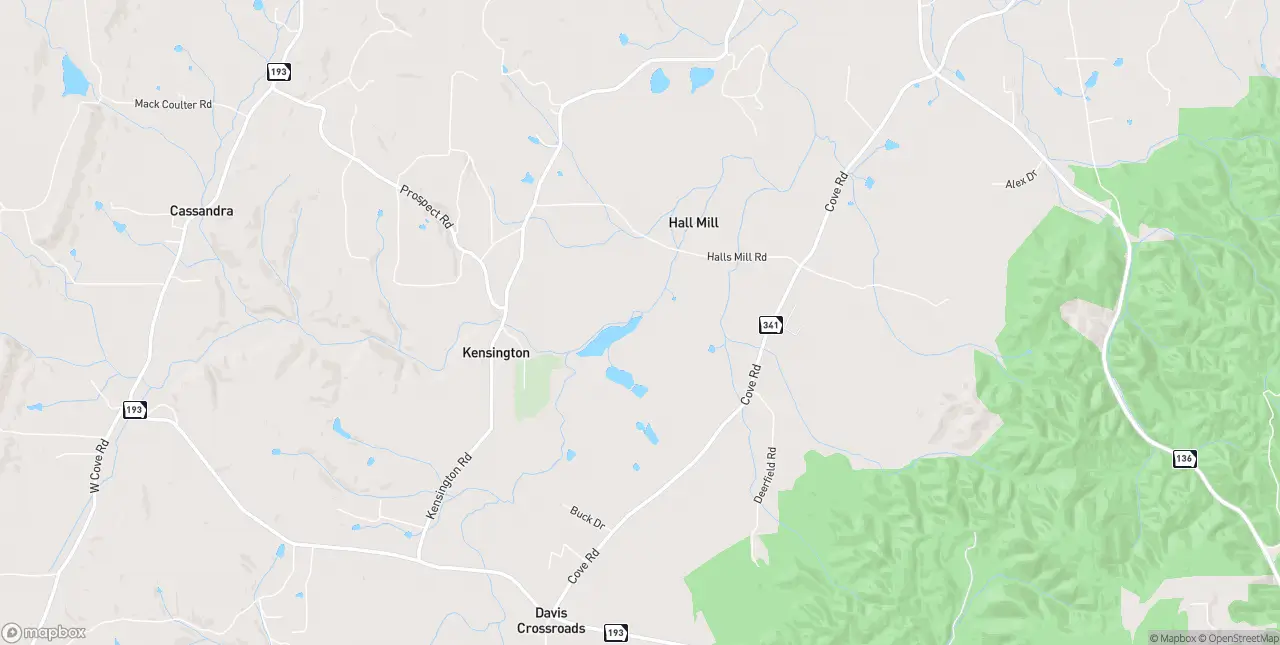 Internet in Chickamauga