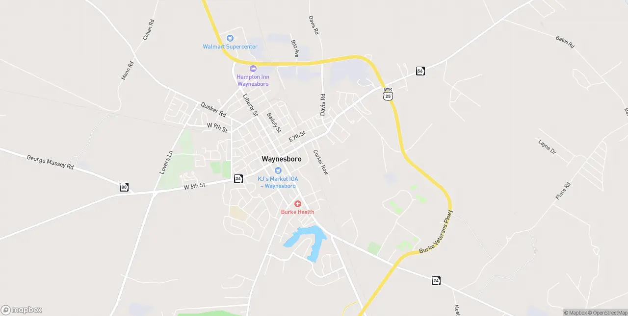 Internet in Waynesboro