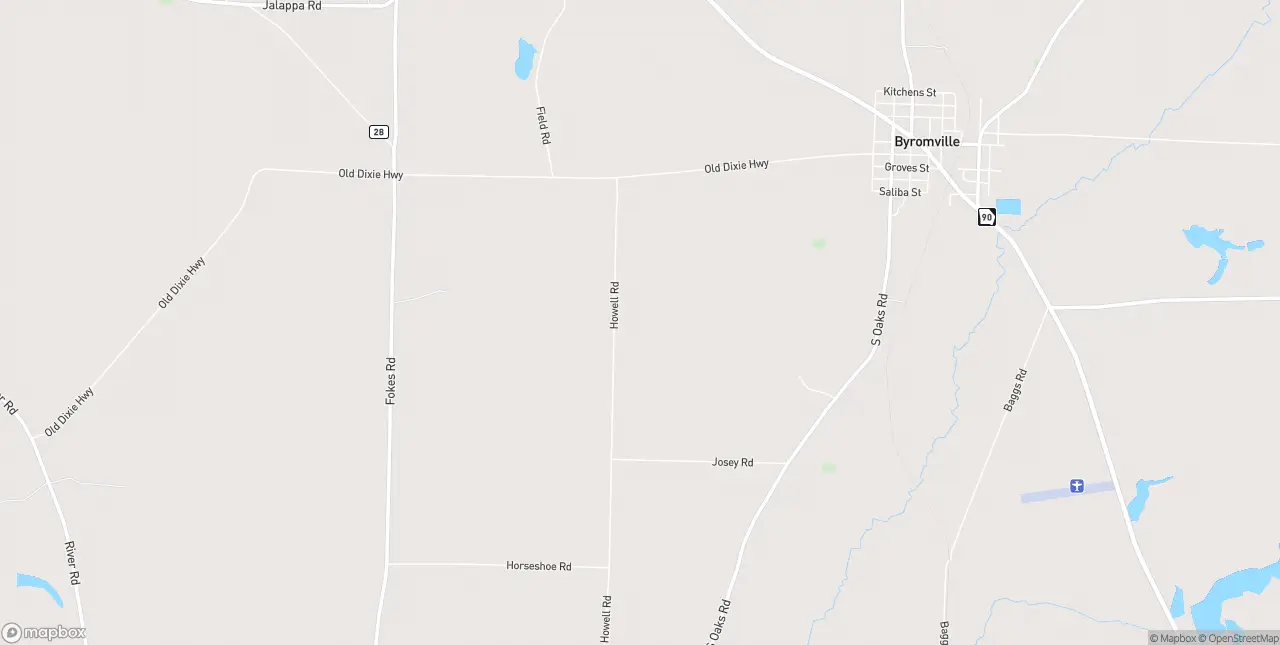 Internet in Byromville
