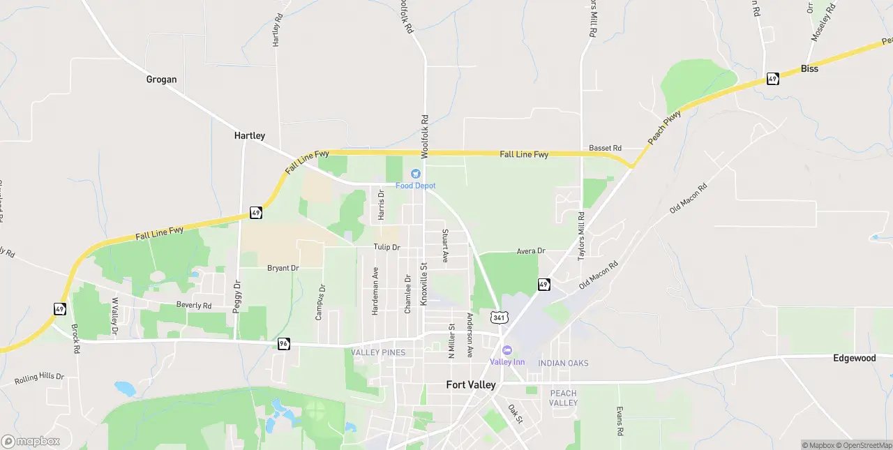 Internet in Fort Valley