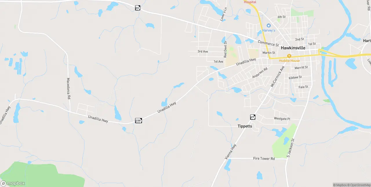 Internet in Hawkinsville