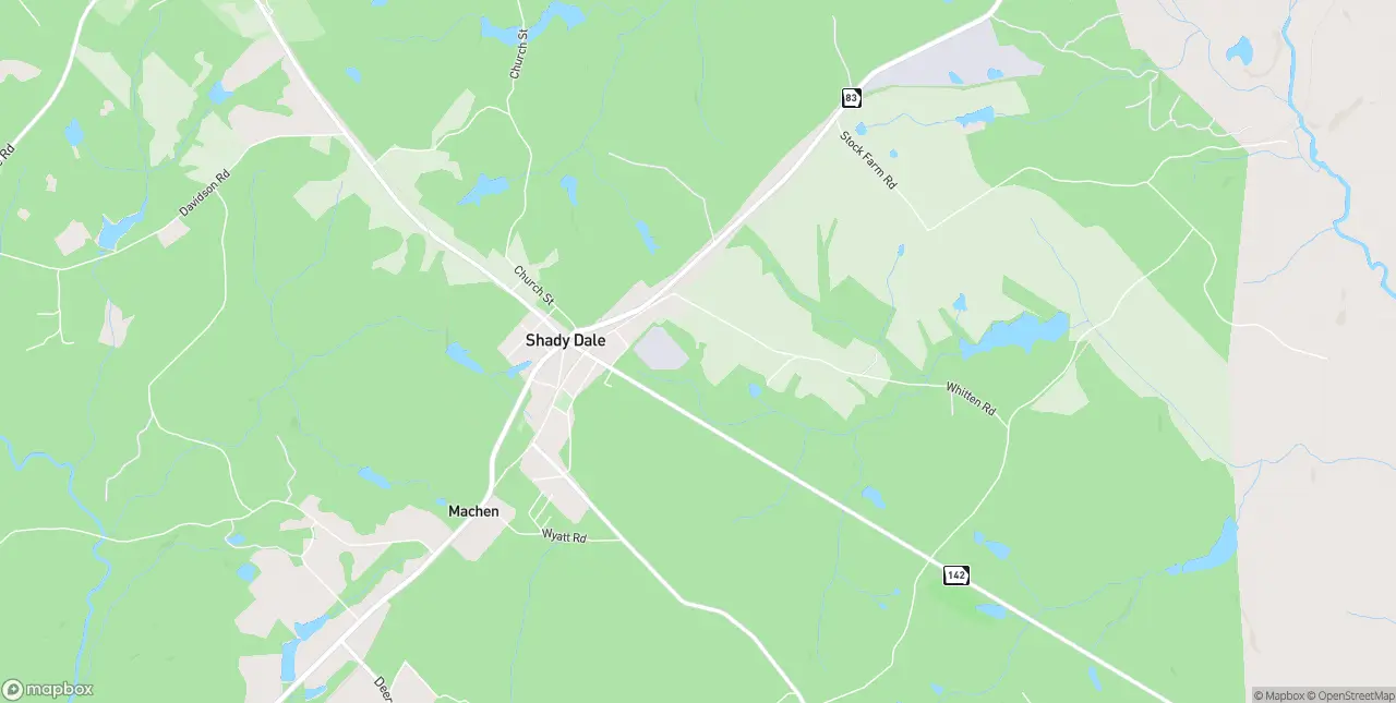 Internet in Shady Dale