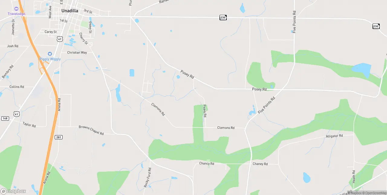 Internet in Unadilla