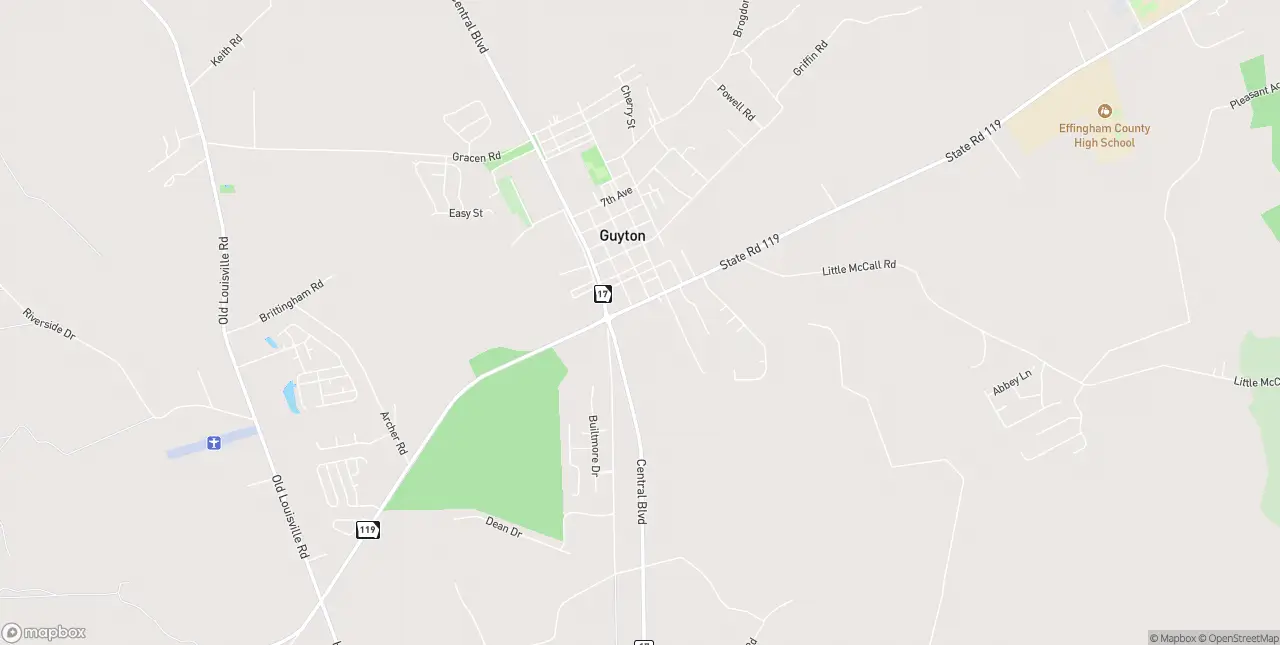 Internet in Guyton