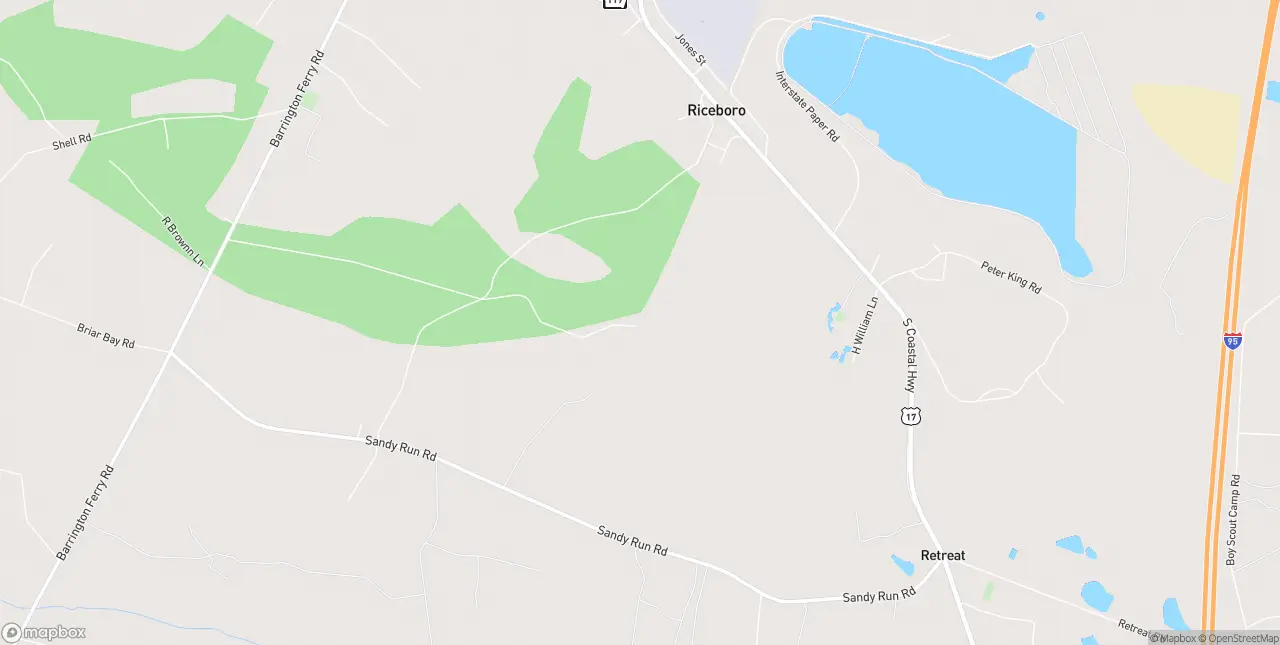 Internet in Riceboro