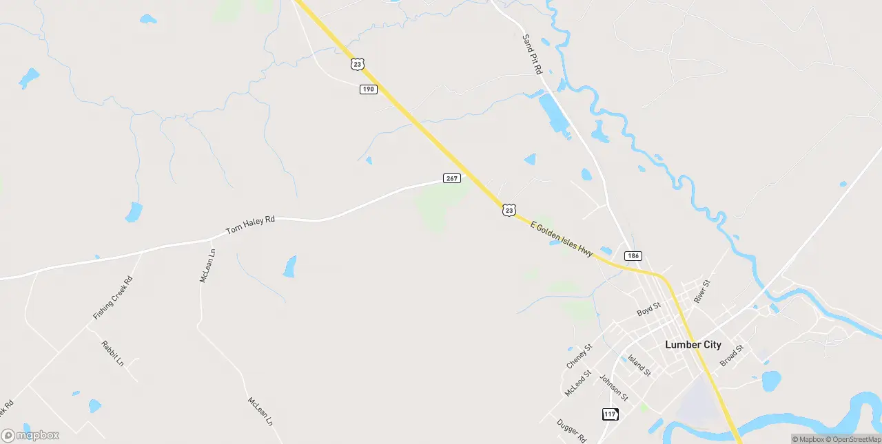 Internet in Lumber City
