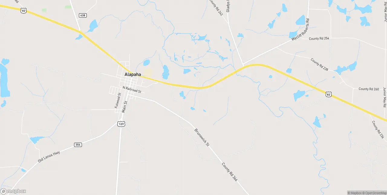 Internet in Alapaha