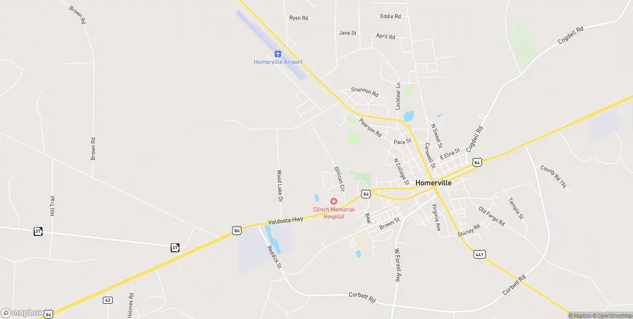 Internet in Homerville