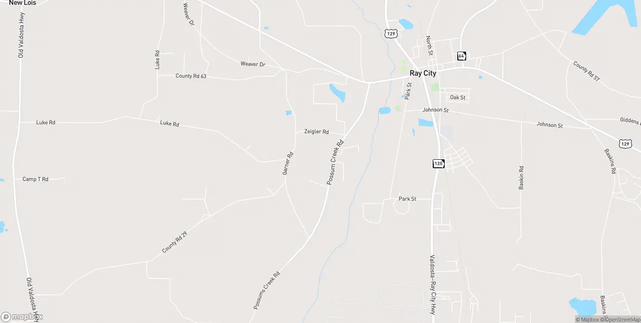 Internet in Ray City