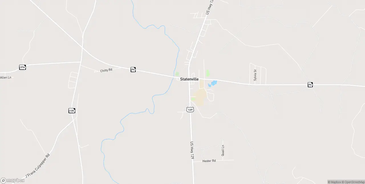 Internet in Statenville