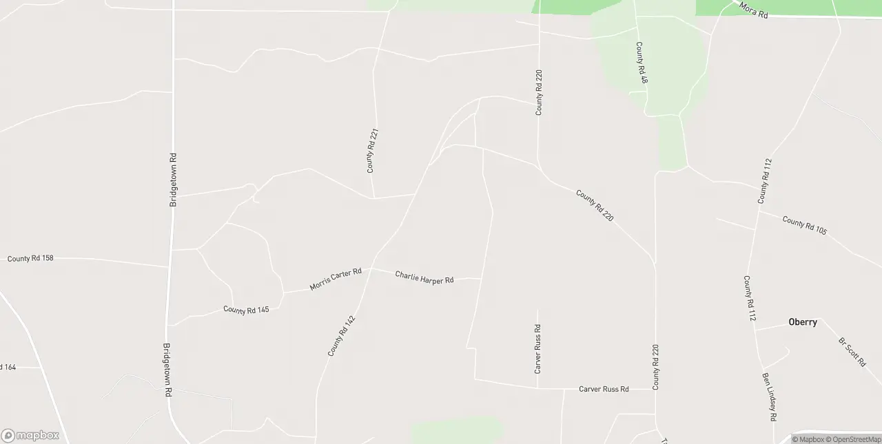Internet in Willacoochee