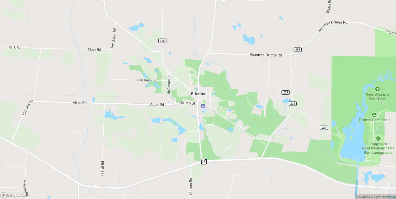 Internet in Ellenton