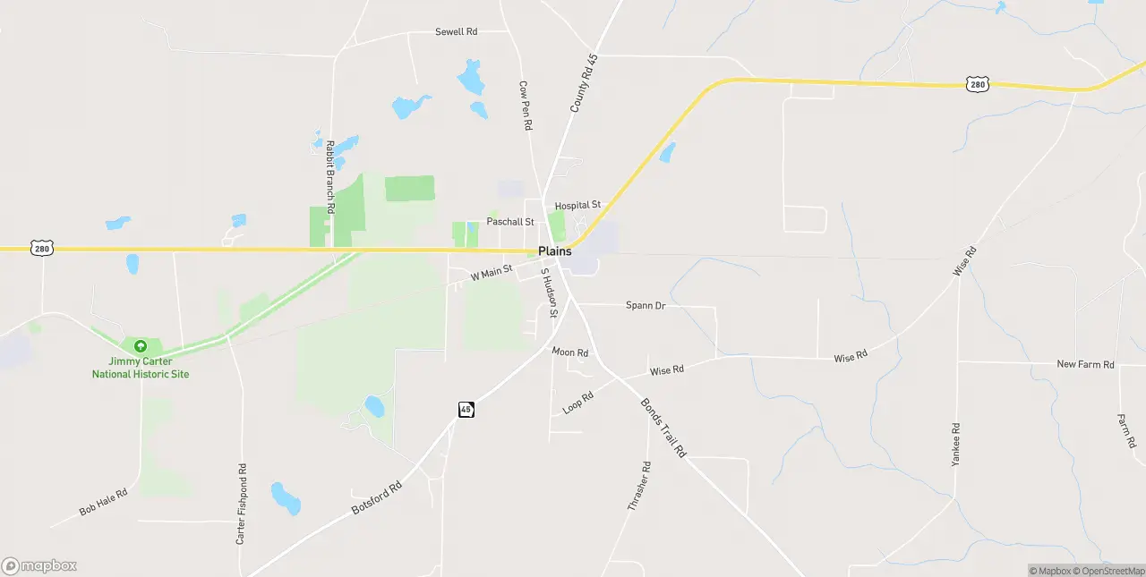 Internet in Plains