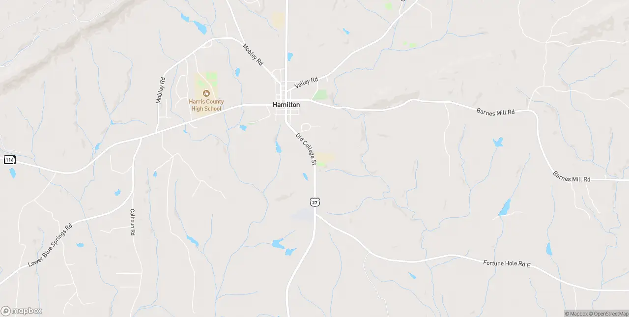 Internet in Hamilton