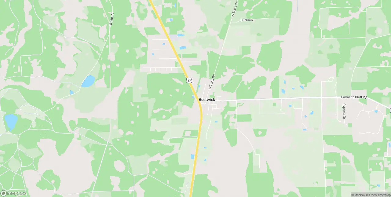 Internet in Bostwick