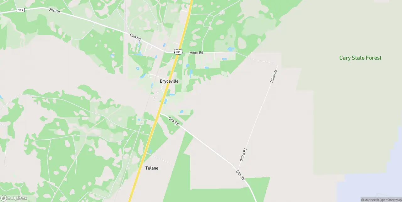 Internet in Bryceville