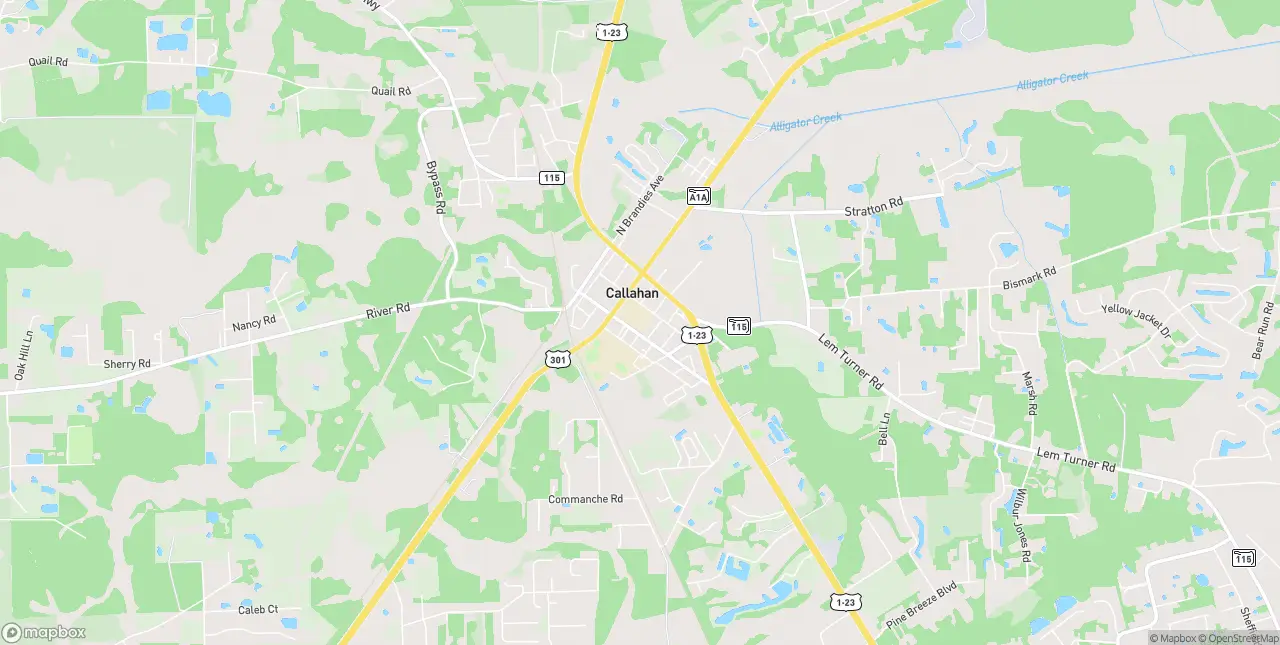 Internet in Callahan
