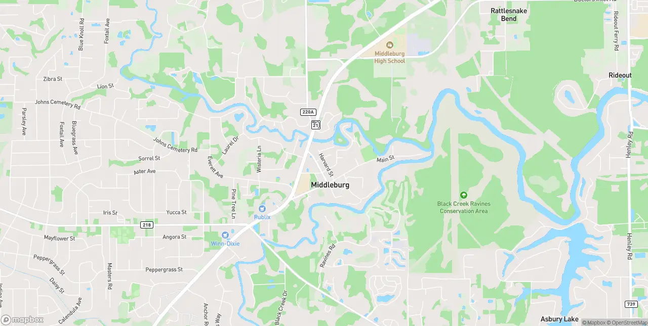 Internet in Middleburg