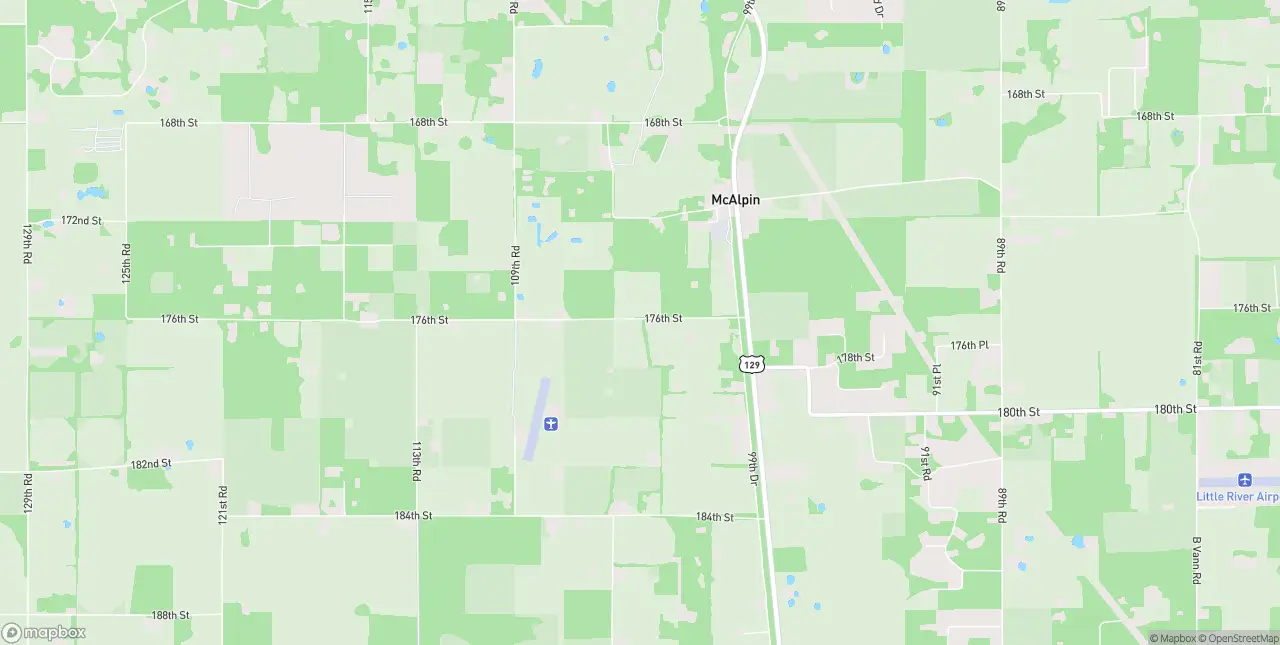 Internet in Mcalpin