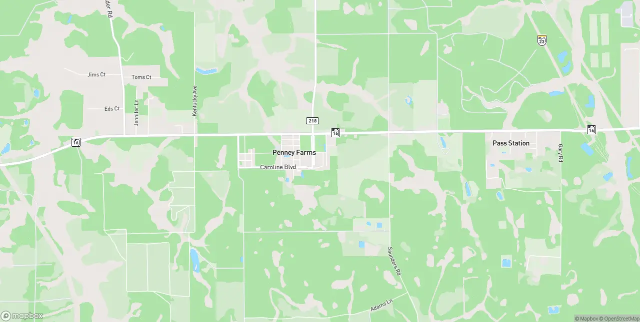 Internet in Penney Farms