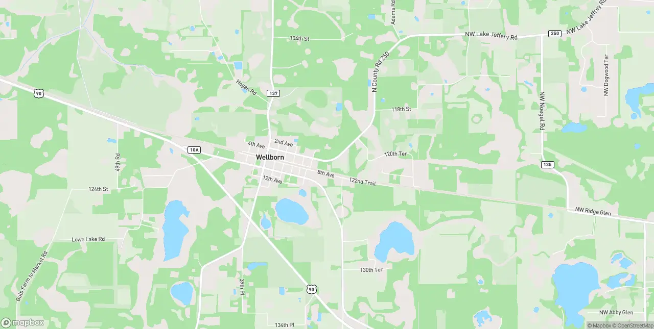 Internet in Wellborn