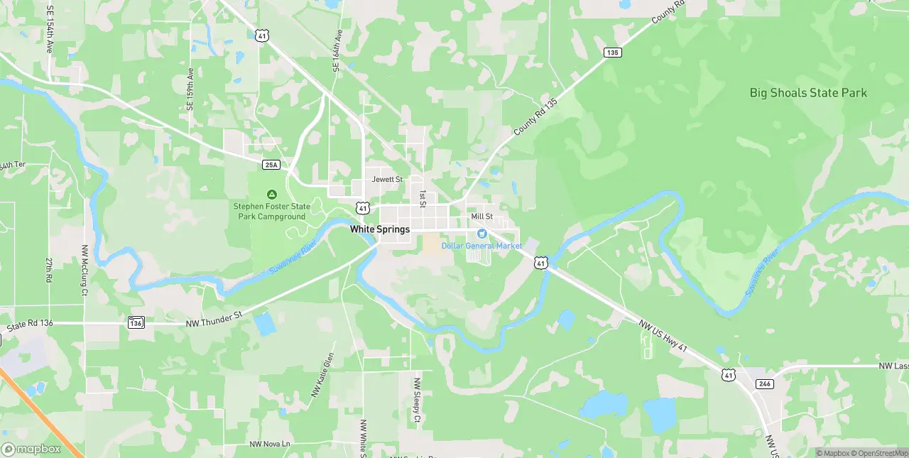 Internet in White Springs