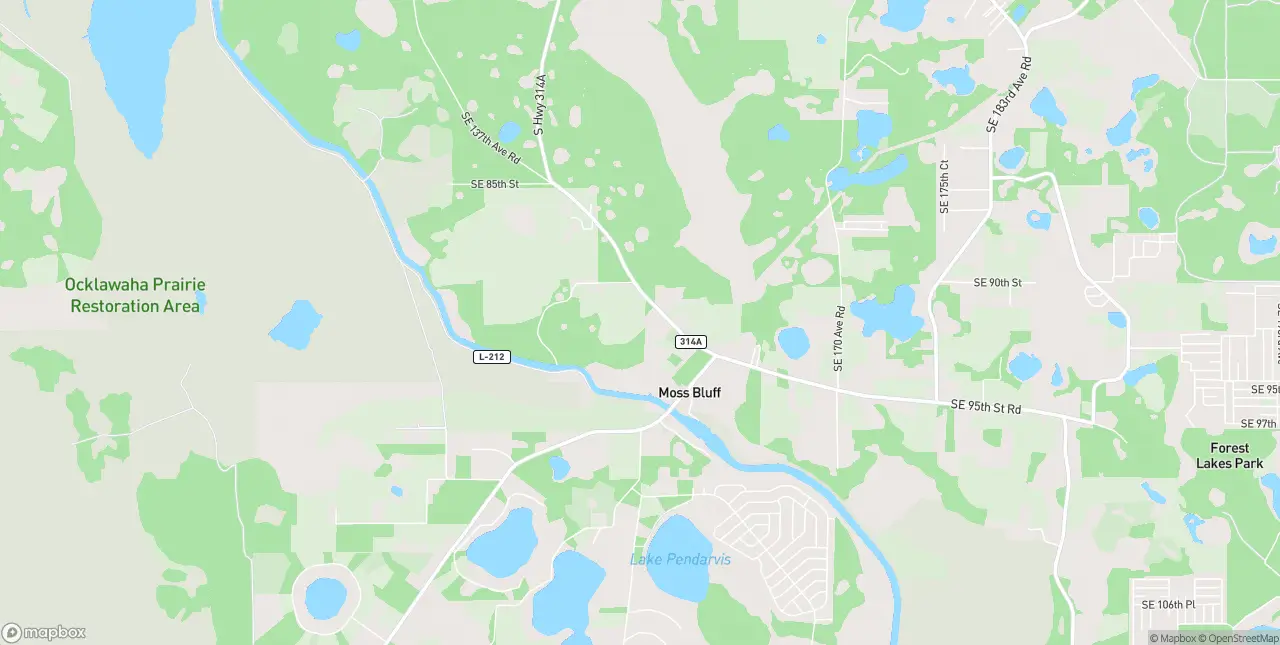 Internet in Ocklawaha